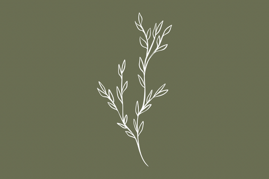 What is Holistic Therapy and The Benefits